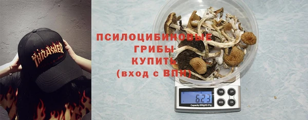 хмурый Арсеньев