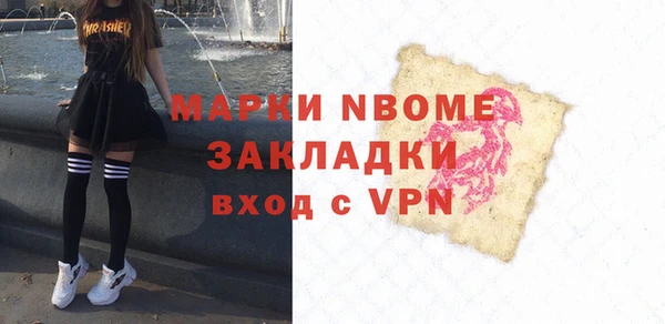 хмурый Арсеньев