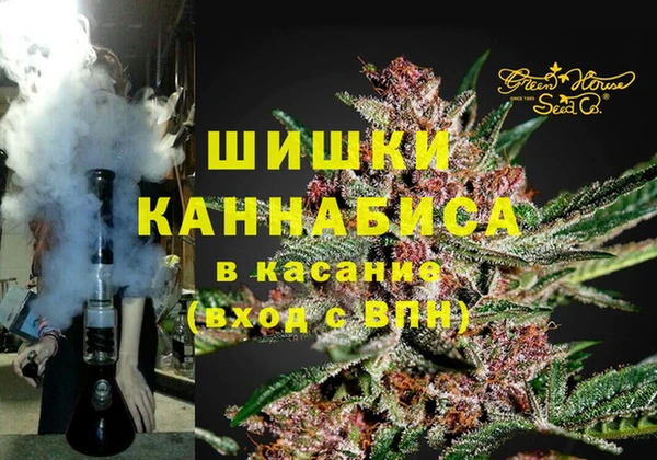 хмурый Арсеньев