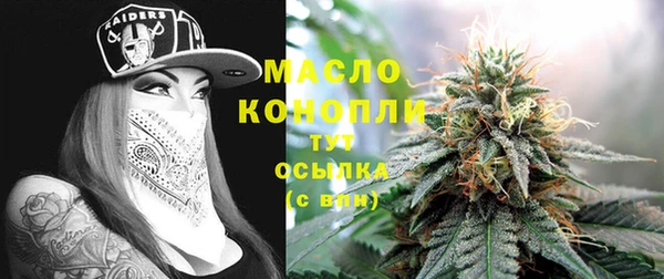 хмурый Арсеньев