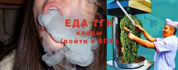 хмурый Арсеньев
