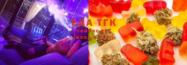 хмурый Арсеньев