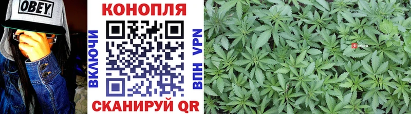 МАРИХУАНА Ganja  Сосенский 